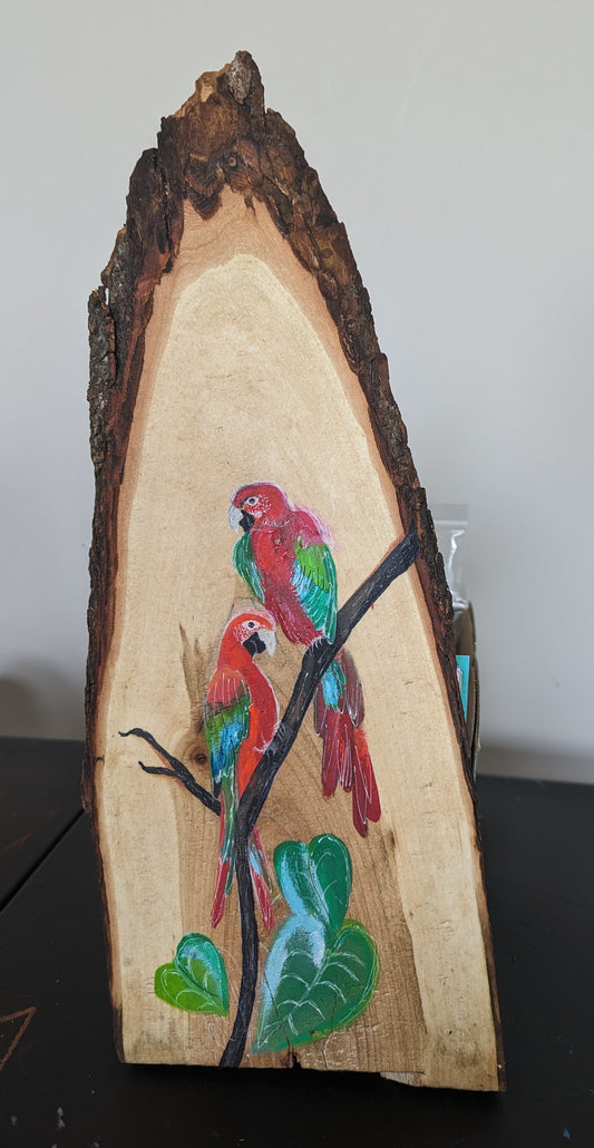 Red Macaw on wood